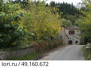 Houses amidst trees in village, Badiaccia a Montemuro, Radda in Chianti, Tuscany, Italy. Стоковое фото, агентство Ingram Publishing / Фотобанк Лори