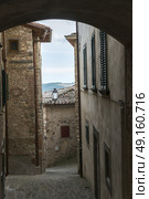 Narrow alley by houses in town, Radda in Chianti, Tuscany, Italy. Стоковое фото, агентство Ingram Publishing / Фотобанк Лори