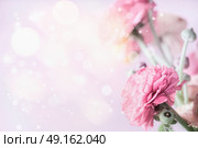 Pink floral pastel border with bokeh background and buttercup flowers. Стоковое фото, агентство Ingram Publishing / Фотобанк Лори