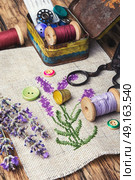 Lavender bouquet embroidery. Embroidery bouquet of lavender and tools of needlework. Стоковое фото, агентство Ingram Publishing / Фотобанк Лори