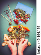Female hand making autumn flowers arrangements on table workspace with scissors , envelope and ribbon, top view. Стоковое фото, агентство Ingram Publishing / Фотобанк Лори