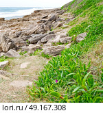 blur in south africa   sky ocean  isimagaliso reserve nature and rocks. Стоковое фото, агентство Ingram Publishing / Фотобанк Лори