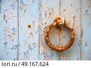 morocco knocker in africa the old wood  facade home and rusty safe padlock . Стоковое фото, агентство Ingram Publishing / Фотобанк Лори