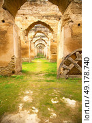 old moroccan granary in the green grass and archway  wall. Стоковое фото, агентство Ingram Publishing / Фотобанк Лори