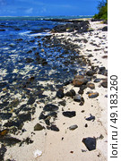 blue bay foam footstep indian ocean some stone in the island of deus cocos in mauritius . Стоковое фото, агентство Ingram Publishing / Фотобанк Лори