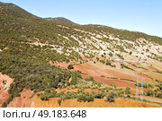 dades valley in atlas moroco africa ground tree  and nobody. Стоковое фото, агентство Ingram Publishing / Фотобанк Лори