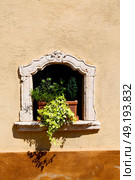in italy   antique historical medieval decoration wall and window. Стоковое фото, агентство Ingram Publishing / Фотобанк Лори