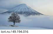A lone tree stands in a snowy landscape, with a mist-shrouded mountain in the background. Strong stormy wind movies clouds of frozen fog. Стоковое AI-видео, аниматор Sergey Grishin / Фотобанк Лори