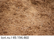 A pile of sawdust. Woodworking waste. Стоковое фото, фотограф Лазаренко Светлана / Фотобанк Лори