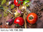 Homemade pickle tomato. Tomato,pepper peas and garlic for pickling to the old national recipe.Rustic style. Стоковое фото, агентство Ingram Publishing / Фотобанк Лори