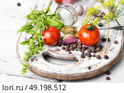 domestic pickle tomato. tomato,peppercorn and garlic for pickling on white kitchen board. Стоковое фото, агентство Ingram Publishing / Фотобанк Лори