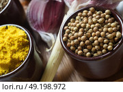 Spices and herbs in ceramic bowls. Coriander and curcuma seasoning. Colorful natural additives. Стоковое фото, агентство Ingram Publishing / Фотобанк Лори