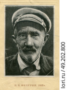 Портрет Ивана Владимировича Мичурина, 1932 г. Стоковая иллюстрация, иллюстратор Retro / Фотобанк Лори