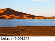 sunshine in the desert of morocco sand and  lake        dune. Стоковое фото, агентство Ingram Publishing / Фотобанк Лори