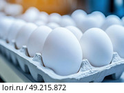 Chicken Eggs on a conveyor belt. Hatching and poultry farming. Egg factory industry. Egg selection process and grading production line with fresh eggs. Automated business, organic farming concept. Стоковое AI-изображение, AI-художник Марина Демидюк / Фотобанк Лори