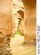 old moroccan granary in the green grass and archway  wall. Стоковое фото, агентство Ingram Publishing / Фотобанк Лори
