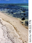 foam footstep indian ocean some stone in the island of deus cocos in mauritius. Стоковое фото, агентство Ingram Publishing / Фотобанк Лори