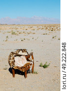 chair in iran blur old dead tree in the empty desert of persia lamp oil on branch. Стоковое фото, агентство Ingram Publishing / Фотобанк Лори