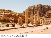 in petra jordan the antique street full of columns and architecture heritage. Стоковое фото, агентство Ingram Publishing / Фотобанк Лори