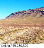 in   valley  morocco         africa the atlas dry  mountain   ground isolated hill . Стоковое фото, агентство Ingram Publishing / Фотобанк Лори