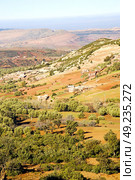 dades valley in atlas moroco africa ground tree  and nobody. Стоковое фото, агентство Ingram Publishing / Фотобанк Лори