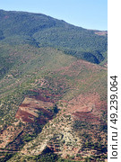 dades valley in atlas moroco   africa ground tree  and nobody. Стоковое фото, агентство Ingram Publishing / Фотобанк Лори