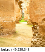 old moroccan granary in the green grass and archway  wall. Стоковое фото, агентство Ingram Publishing / Фотобанк Лори