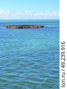 blue   isla contoy       in mexico froath and blue  foam  the sea drop sunny day  wave. Стоковое фото, агентство Ingram Publishing / Фотобанк Лори