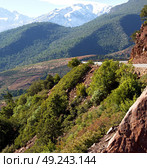 dades valley in atlas moroco   africa ground tree  and nobody. Стоковое фото, агентство Ingram Publishing / Фотобанк Лори