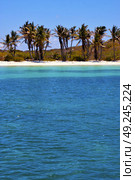 coastline and rock in the  blue lagoon relax  of isla contoy  mexico. Стоковое фото, агентство Ingram Publishing / Фотобанк Лори