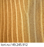 in lanzarote  spain texture abstract of a  dry sand and the beach . Стоковое фото, агентство Ingram Publishing / Фотобанк Лори