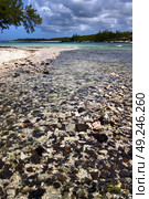 blue bay foam footstep indian ocean some stone in the island of deus cocos in mauritius . Стоковое фото, агентство Ingram Publishing / Фотобанк Лори