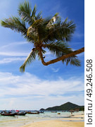 sun ligt  asia in the  kho tao bay isle white  beach    rocks  boat   thailand  and south china sea anchor. Стоковое фото, агентство Ingram Publishing / Фотобанк Лори