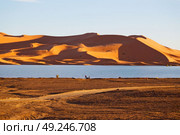 sunshine in the desert of morocco sand and  lake        dune. Стоковое фото, агентство Ingram Publishing / Фотобанк Лори