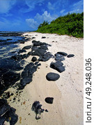  blue bay foam  in the island of deus cocos in mauritius . Стоковое фото, агентство Ingram Publishing / Фотобанк Лори