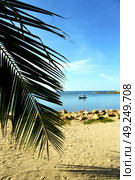 asia in  kho phangan thailand bay isle   beach    rocks pirogue palm and south china sea . Стоковое фото, агентство Ingram Publishing / Фотобанк Лори