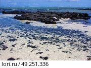 boat foam footstep indian ocean some stone in the island of deus cocos in mauritius. Стоковое фото, агентство Ingram Publishing / Фотобанк Лори