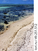 foam footstep indian ocean some stone in the island of deus cocos in mauritius. Стоковое фото, агентство Ingram Publishing / Фотобанк Лори
