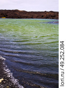 plant stone  atlantic ocean sky  water lanzarote in el golfo  spain musk pond rock  coastline and summer . Стоковое фото, агентство Ingram Publishing / Фотобанк Лори