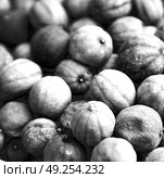in iran blur  typical dry lemon in abstract pattern background flavor and aroma. Стоковое фото, агентство Ingram Publishing / Фотобанк Лори