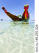 thailand  in  kho tao bay asia isle blue clean water    pirogue   and south china sea . Стоковое фото, агентство Ingram Publishing / Фотобанк Лори