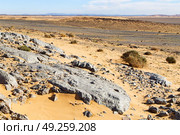  old fossil in  the desert of morocco sahara and rock  stone sky. Стоковое фото, агентство Ingram Publishing / Фотобанк Лори