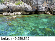 asia in the  kho phangan isles bay   rocks    thailand  and south china green sea  . Стоковое фото, агентство Ingram Publishing / Фотобанк Лори