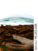 blur in south africa   sky ocean  isimagaliso reserve nature and rocks. Стоковое фото, агентство Ingram Publishing / Фотобанк Лори