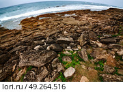 blur in south africa   sky ocean  isimagaliso reserve nature and rocks. Стоковое фото, агентство Ingram Publishing / Фотобанк Лори
