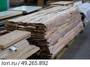 Veneer for the manufacture of furniture. Woodworking industry. Стоковое фото, фотограф Лазаренко Светлана / Фотобанк Лори