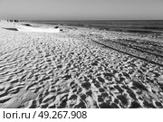 and seagull near ocean in oman boat in the coastline . Стоковое фото, агентство Ingram Publishing / Фотобанк Лори