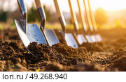 A row of shovels digging into soil during golden hour, symbolizing teamwork, agriculture, planting season or groundbreaking project ceremonies. Стоковое AI-изображение, AI-художник Ольга Сухарева / Фотобанк Лори