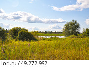 Заливные луга. Тюменская область. Нижне-Тавдинский район. Стоковое фото, фотограф Александр Тараканов / Фотобанк Лори