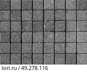 The texture of a stone monotonous pavement. Top view. Abstract background. Стоковое фото, фотограф Емельянов Евгений Викторович / Фотобанк Лори